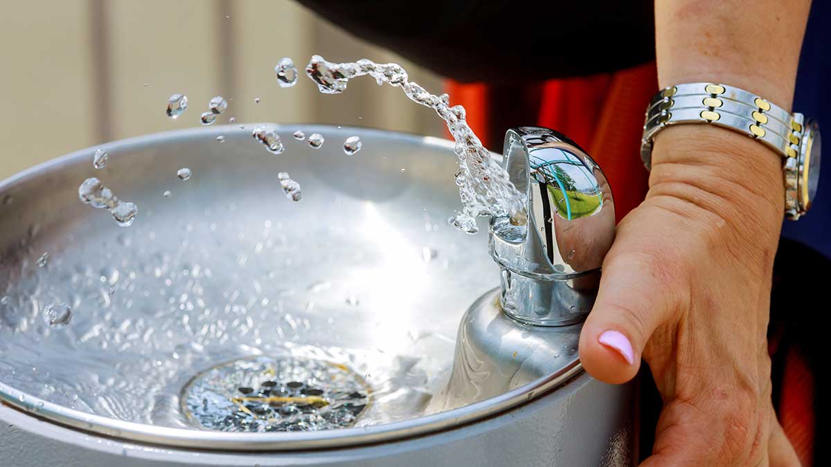 The shared push button is the likeliest place on a drinking fountain for germs to accumulate.