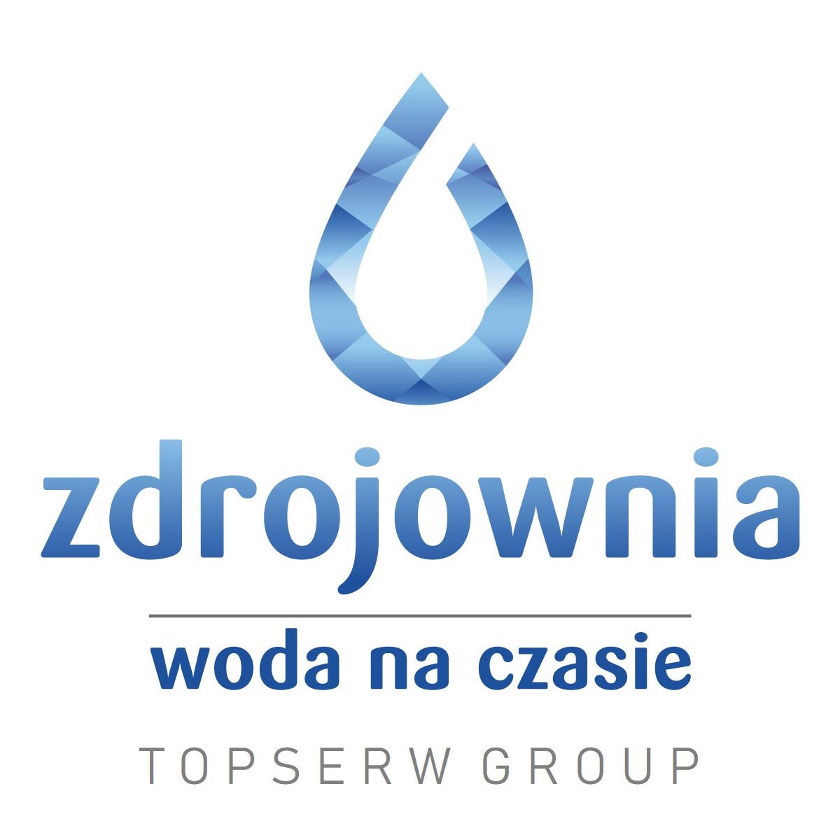 Topserw Logo